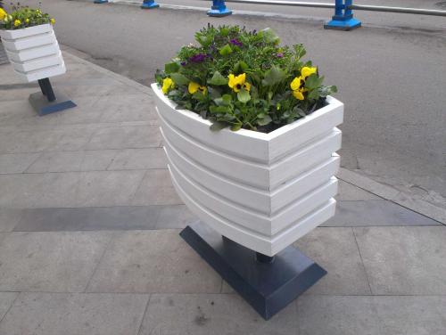 呼和浩特花箱