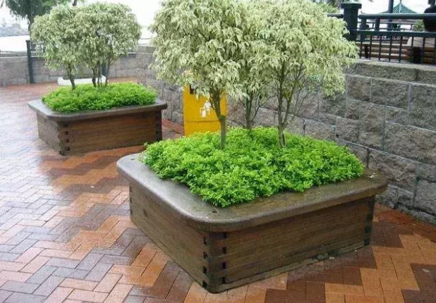 呼和浩特花箱